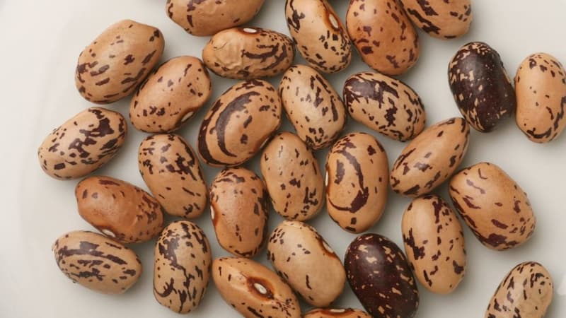 خرید و قیمت لوبیا چیتی گرد + فروش صادراتی